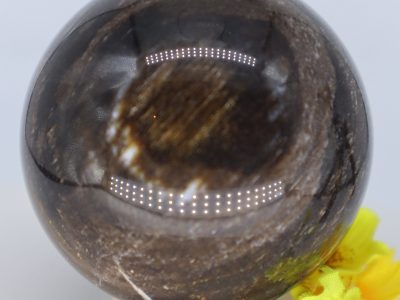Versteinertes Holz  große Edelstein Kugel aus versteinertem Holz, Sphere Crystal, Meditation ~Boho ~Ethno, 64 mm