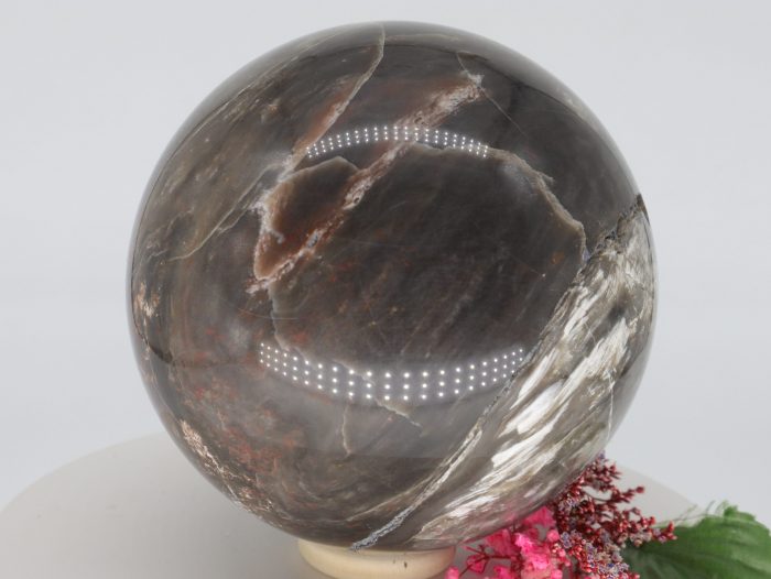 Versteinertes Holz, Kieselholz, Sphere Crystal, 92mm