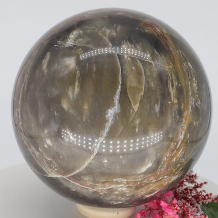 Versteinertes Holz, Kieselholz, Sphere Crystal, 92mm