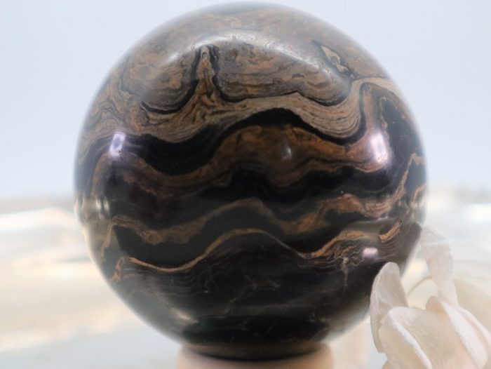 Stromatolithen ( )